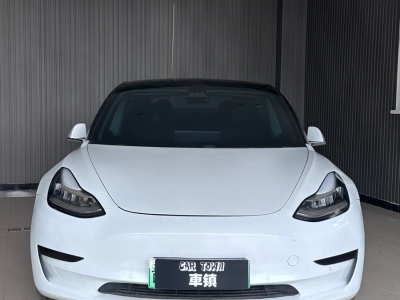 2020年03月 特斯拉 Model 3 標(biāo)準(zhǔn)續(xù)航后驅(qū)升級(jí)版圖片