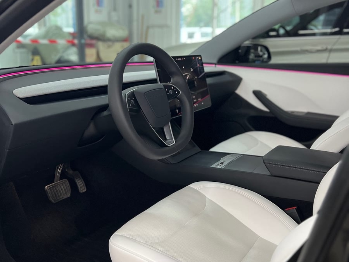 特斯拉 Model 3  2019款 長續(xù)航全輪驅動版圖片