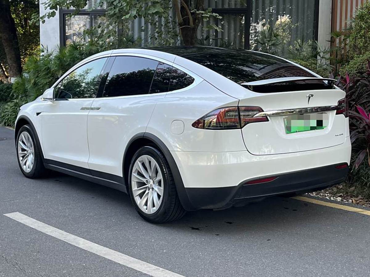 特斯拉 Model X  2019款 長(zhǎng)續(xù)航版圖片