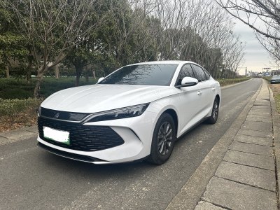 2024年11月 比亞迪 秦L DM-i 80KM領(lǐng)先型圖片