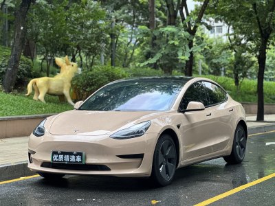 2021年2月 特斯拉 Model 3 标准续航后驱升级版图片