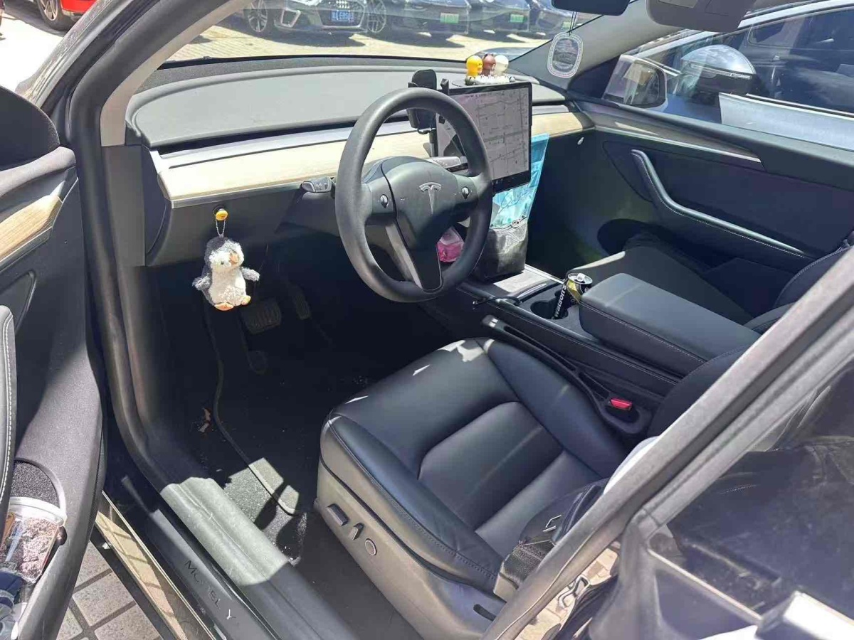 特斯拉 Model Y  2021款 標準續(xù)航后驅(qū)版圖片