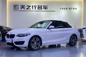 寶馬2系 寶馬  225i 敞篷轎跑車 運動設計套裝