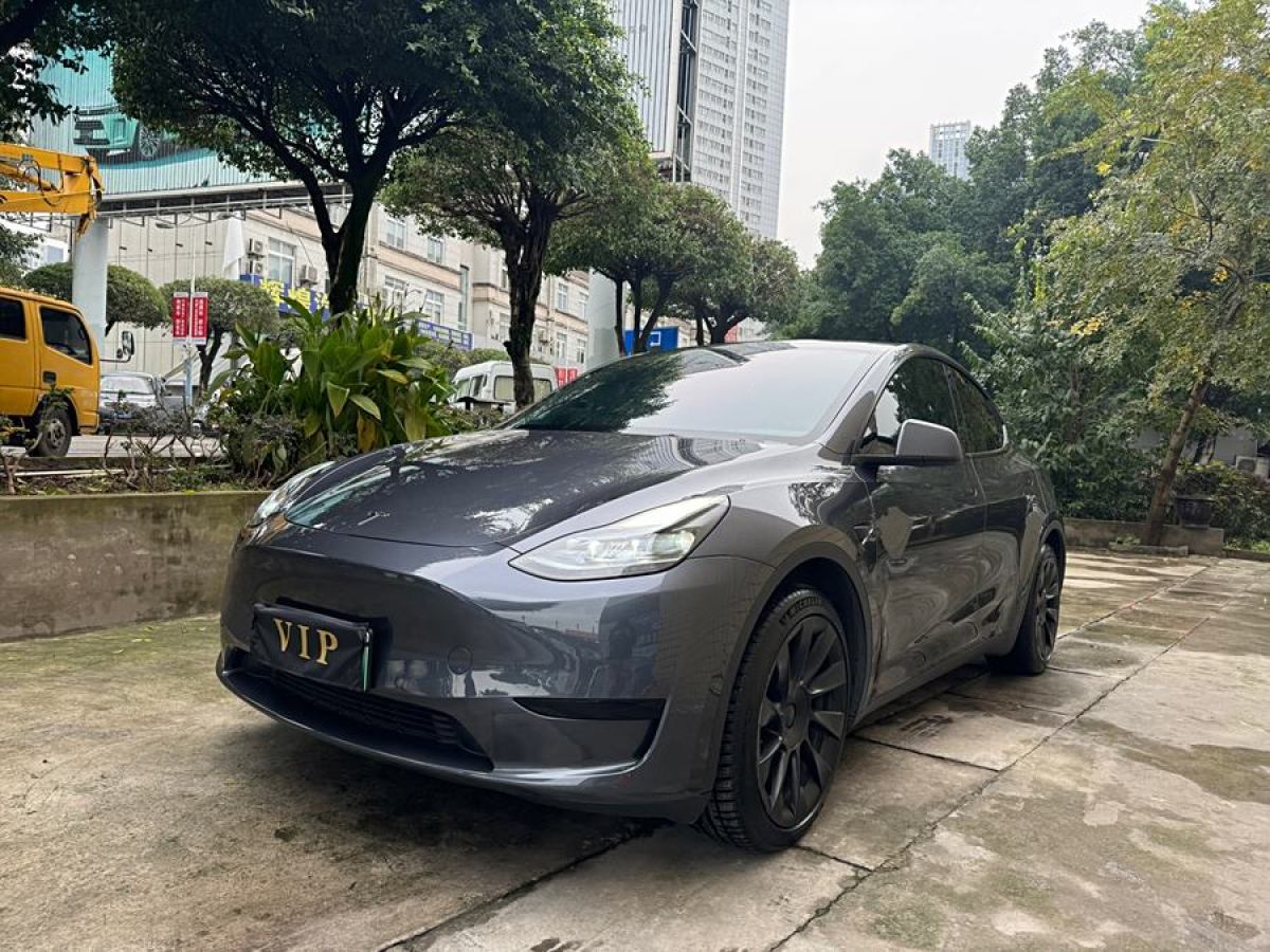 特斯拉 Model 3  2022款 后輪驅(qū)動(dòng)版圖片