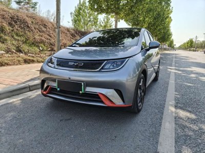 2022年10月 比亞迪 海豚 405km 時尚版圖片