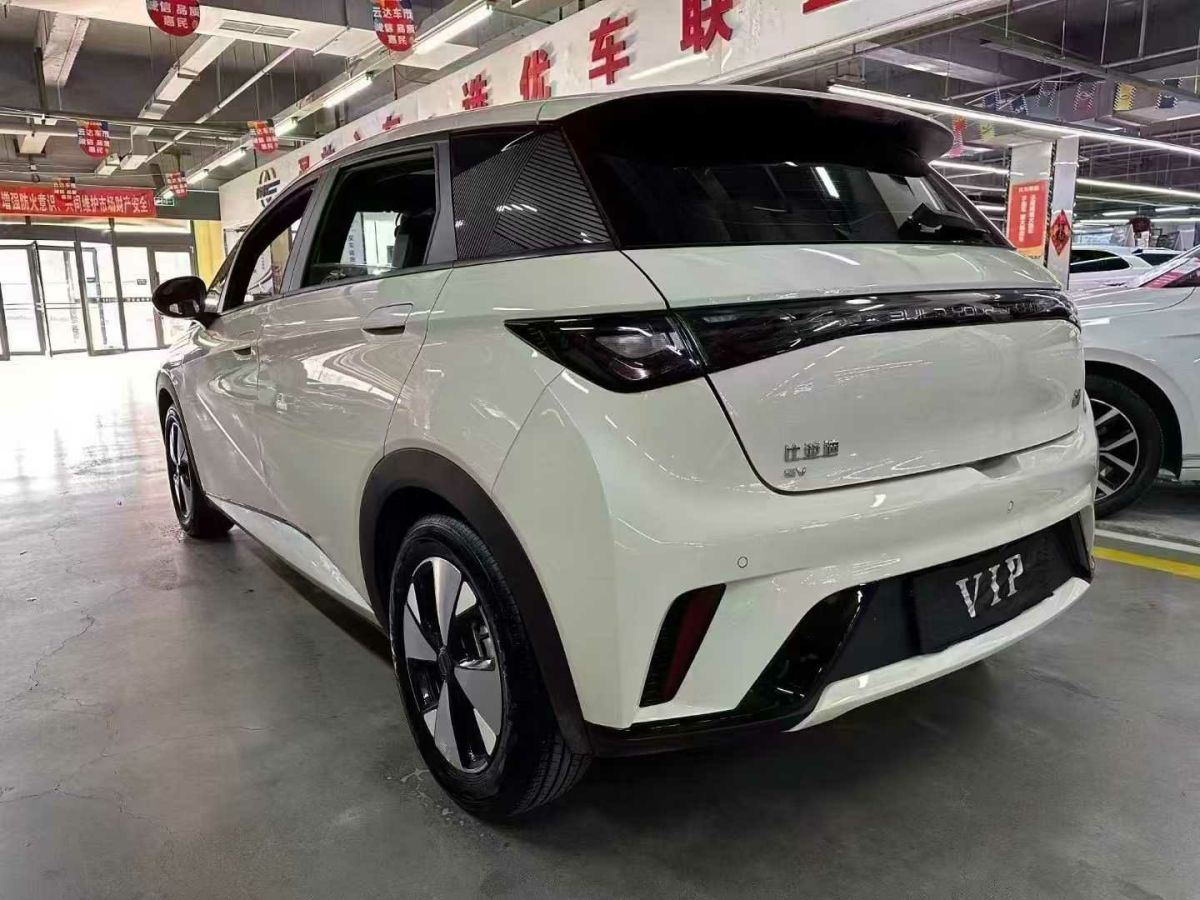 比亞迪 海豚  2023款 401km 騎士版圖片