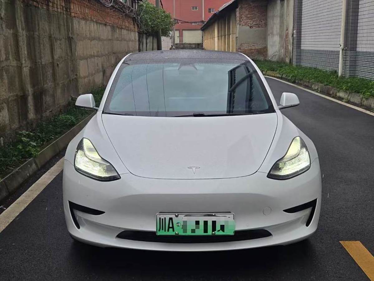 特斯拉 Model 3  2019款 標(biāo)準(zhǔn)續(xù)航后驅(qū)升級(jí)版圖片