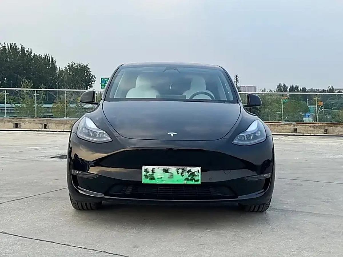 特斯拉 Model Y  2021款 改款 Performance高性能全輪驅(qū)動版圖片