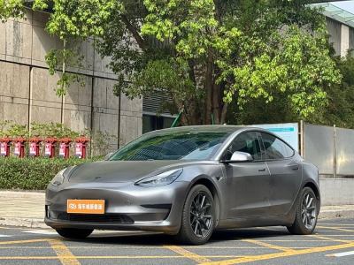 2021年3月 特斯拉 Model 3 改款 標準續(xù)航后驅升級版圖片