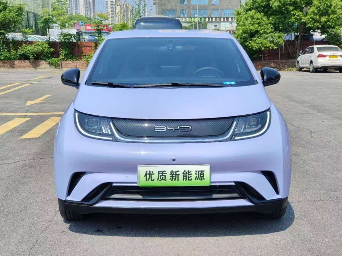 比亞迪 海豚  2023款 420km 自由版圖片