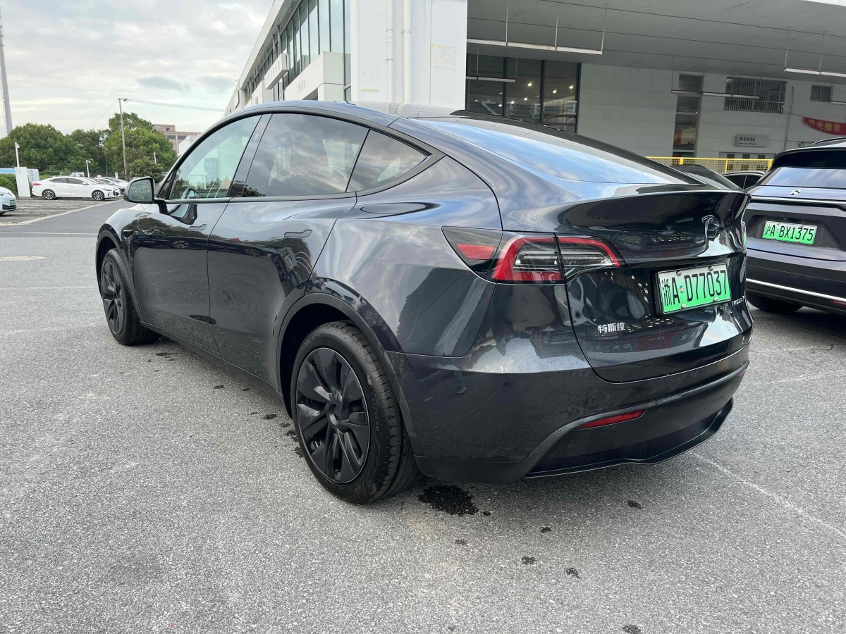 特斯拉 Model Y  2020款 改款 長(zhǎng)續(xù)航后輪驅(qū)動(dòng)版圖片