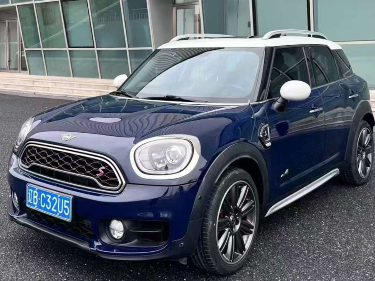 MINI COUNTRYMAN  2019款 2.0T COOPER S ALL4 藝術(shù)家圖片