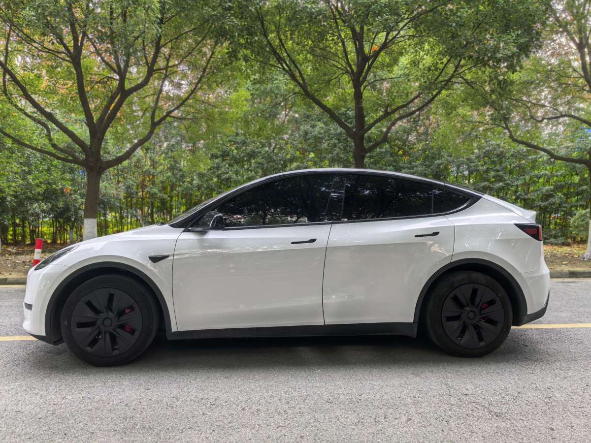 特斯拉 Model Y  2021款 標(biāo)準(zhǔn)續(xù)航后驅(qū)版圖片