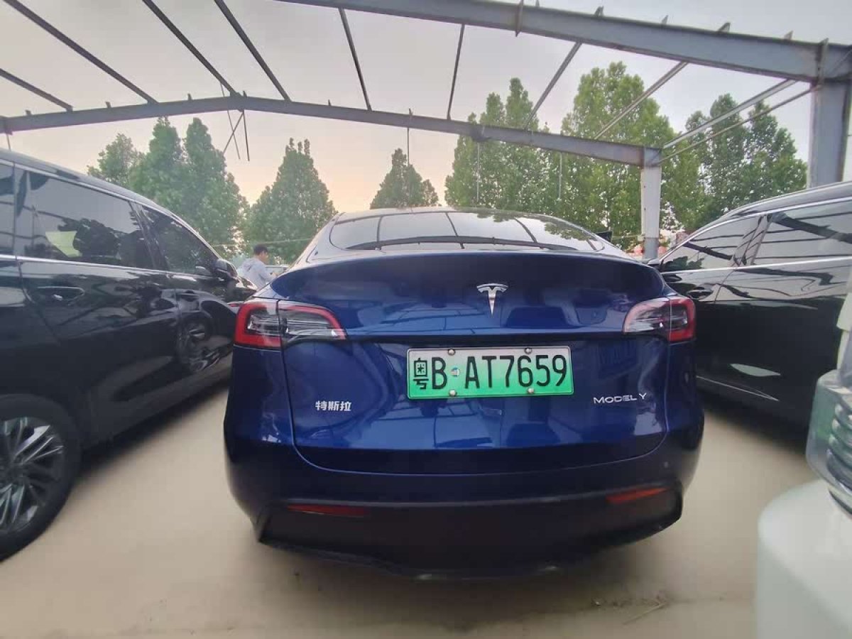 特斯拉 Model Y  2021款 標(biāo)準(zhǔn)續(xù)航后驅(qū)版圖片