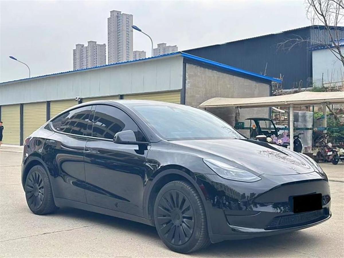 特斯拉 Model 3  2022款 后輪驅(qū)動版圖片