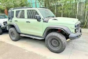 坦克300 坦克 2.0T 坦克游俠