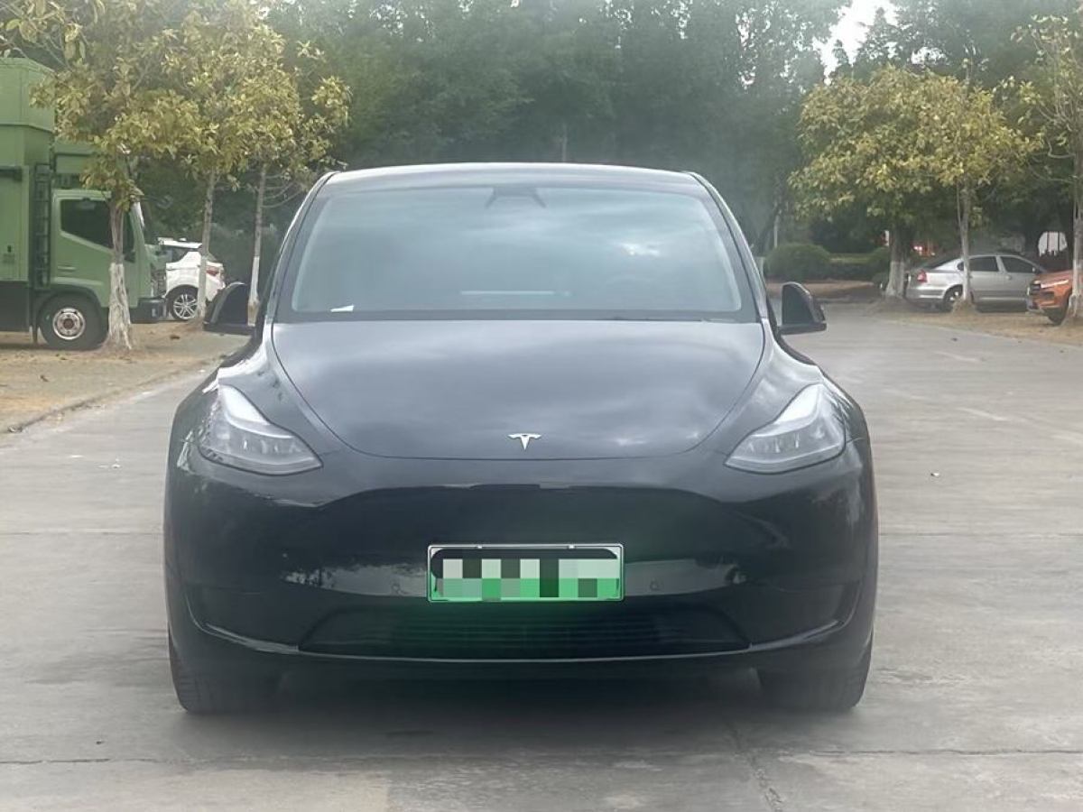 特斯拉 Model 3  2020款 改款 長續(xù)航后輪驅(qū)動版圖片