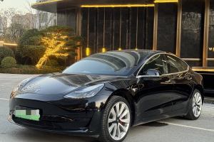 Model 3 特斯拉 标准续航后驱升级版