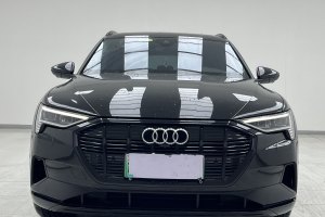 奥迪Q7新能源 奥迪 55 e-tron