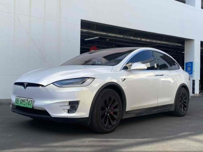 2019年1月 特斯拉 Model X Model X 100D 長(zhǎng)續(xù)航版圖片