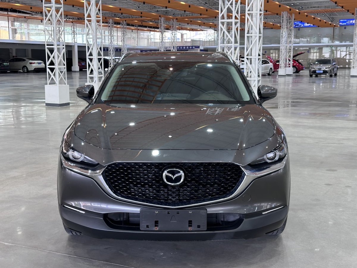 馬自達(dá) CX-30  2020款 2.0L 自動(dòng)嘉悅型圖片