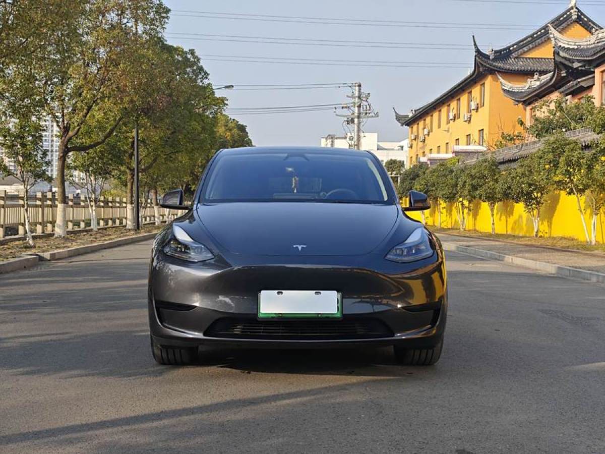 特斯拉 Model 3  2020款 改款 長續(xù)航后輪驅(qū)動版圖片