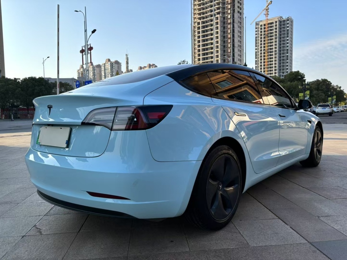 特斯拉 Model 3  2019款 標準續(xù)航后驅升級版圖片