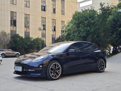 2022年1月 特斯拉 Model 3 改款二 Performance高性能全輪驅(qū)動(dòng)版圖片
