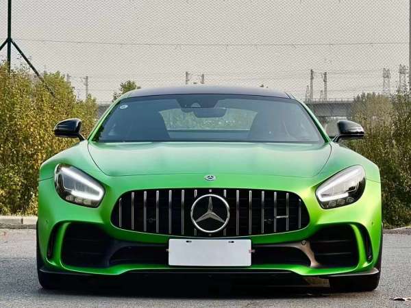 奔驰 奔驰AMG GT  2019款 AMG GT R