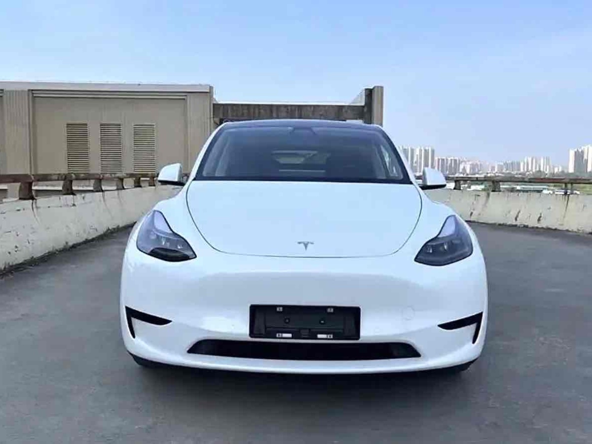 特斯拉 Model Y  2022款 后輪驅(qū)動(dòng)版圖片