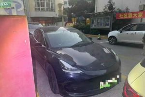 Model 3 特斯拉 標準續(xù)航后驅升級版