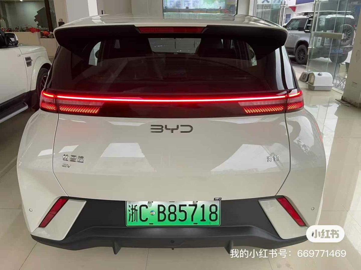 比亞迪 宋L DM-i  2024款 112km 超越型圖片