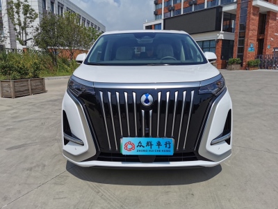 2023年5月 腾势 腾势D9 EV 600 四驱旗舰型图片