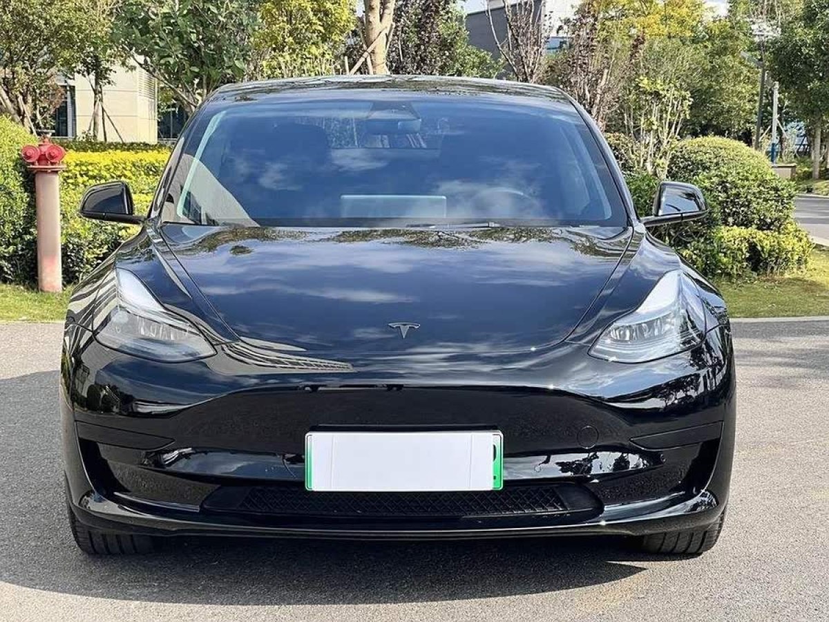 特斯拉 Model 3  2022款 后輪驅(qū)動(dòng)版圖片