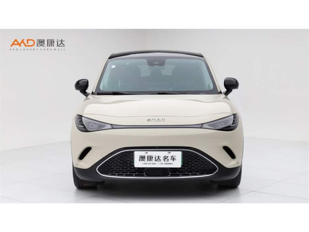 smart smart精靈#3  2023款 Pulse四驅版圖片