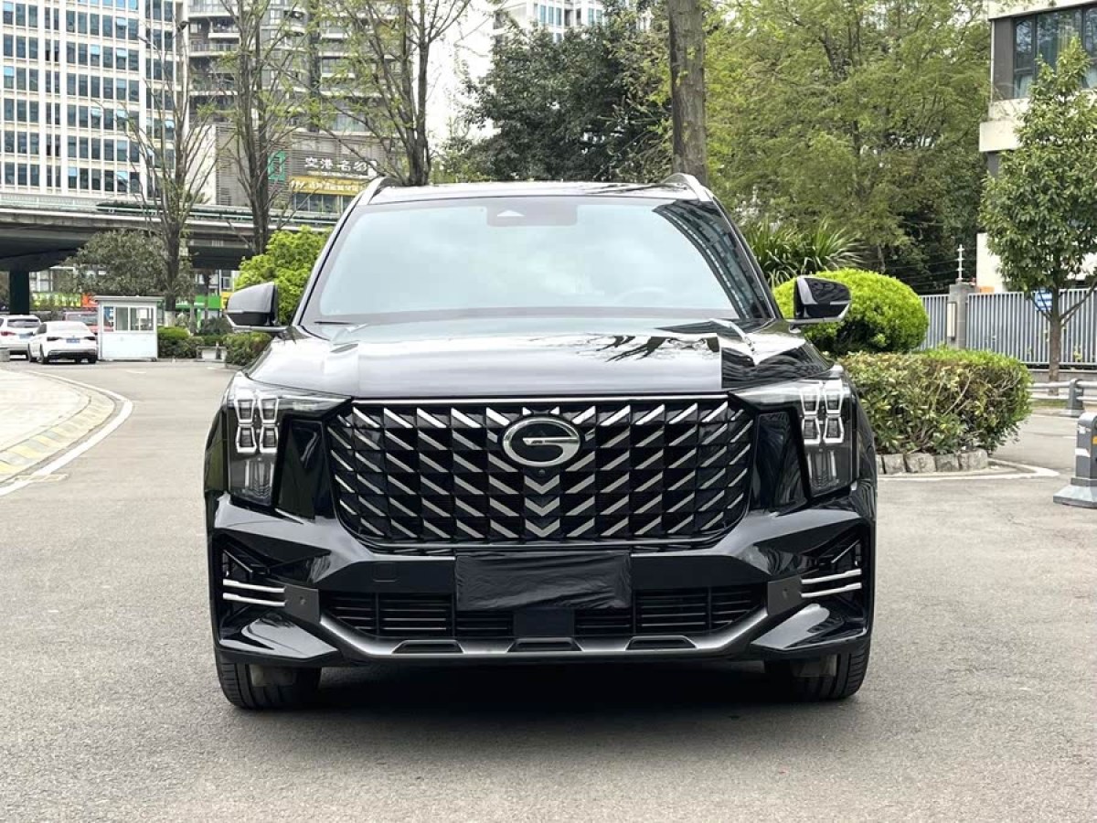 廣汽傳祺 GS8  2022款 領(lǐng)航系列 2.0TGDI 兩驅(qū)豪華智聯(lián)版（七座）圖片