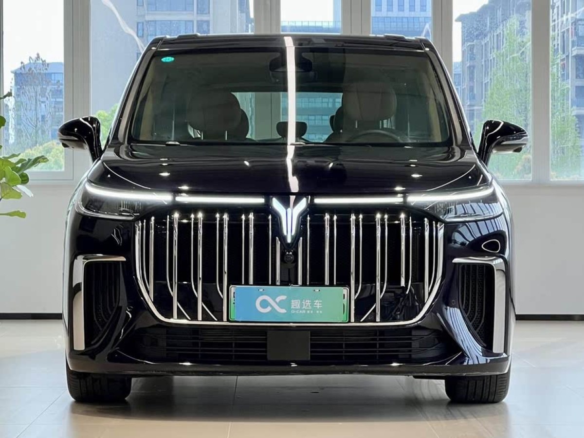 嵐圖 夢想家  2024款 PHEV 超長續(xù)航尊貴版圖片