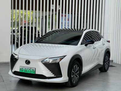 2023年1月 雷克薩斯 雷克薩斯RZ 300e 長續(xù)航 縱享版圖片