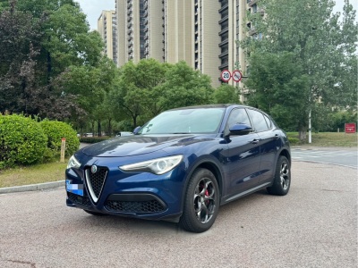 2019年4月 阿尔法·罗密欧 Stelvio 2.0T 200HP 精英版图片