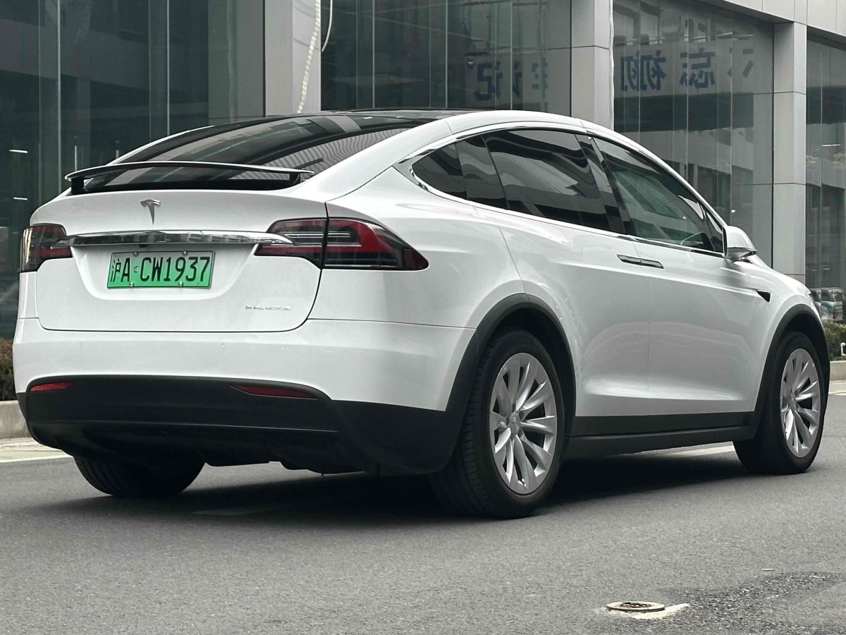 特斯拉 Model X  2020款 長續(xù)航升級(jí)版圖片