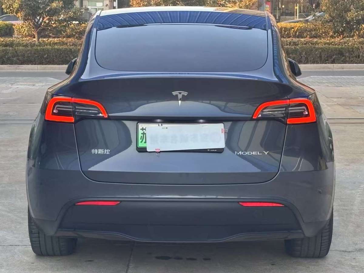 特斯拉 Model Y  2022款 后驅(qū)版圖片