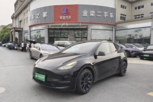 Model 3 特斯拉 长续航全轮驱动版 3D7