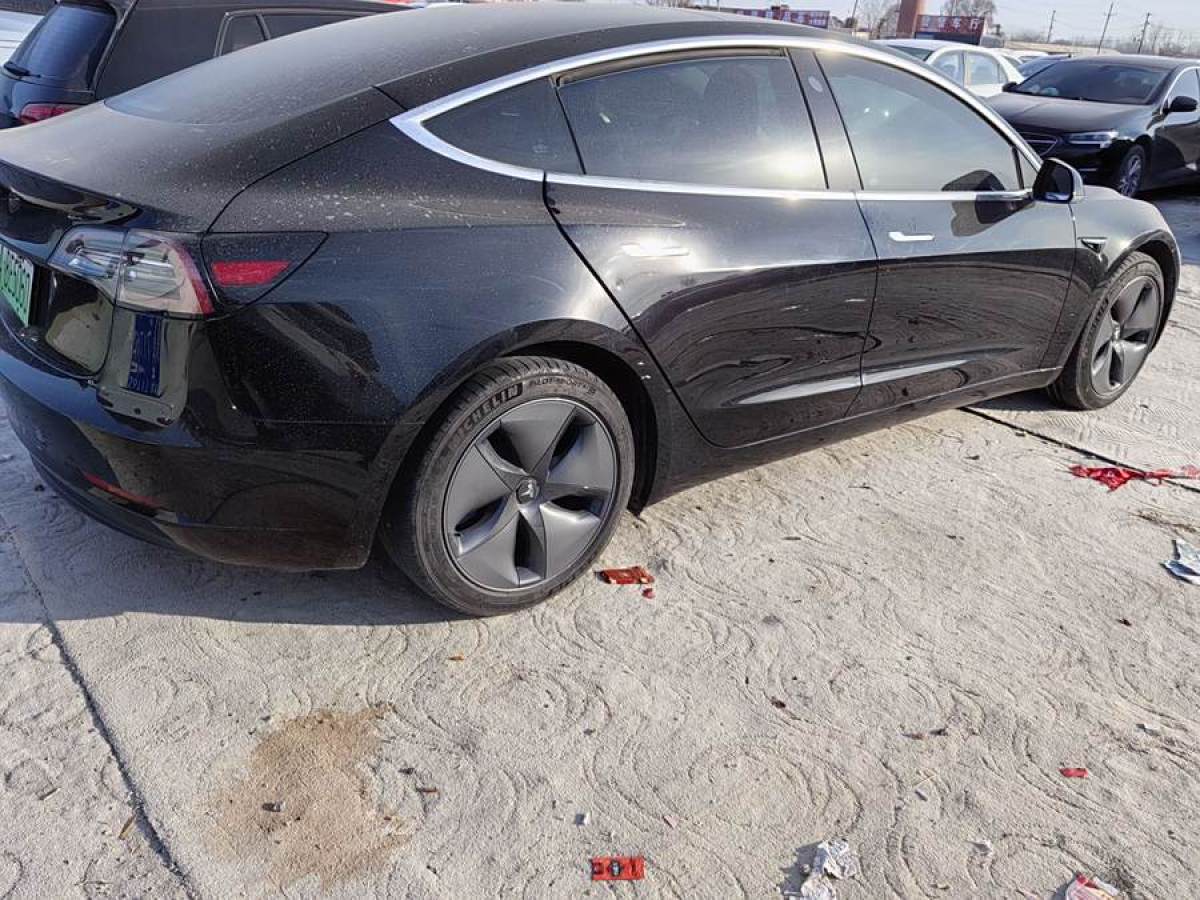 特斯拉 Model 3  2021款 改款 標(biāo)準(zhǔn)續(xù)航后驅(qū)升級(jí)版圖片