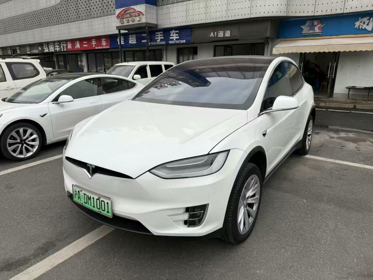 特斯拉 Model X  2020款 Performance 高性能版圖片