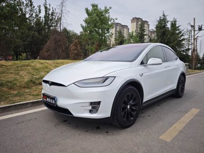 2020年1月 特斯拉 Model X 長續(xù)航版圖片
