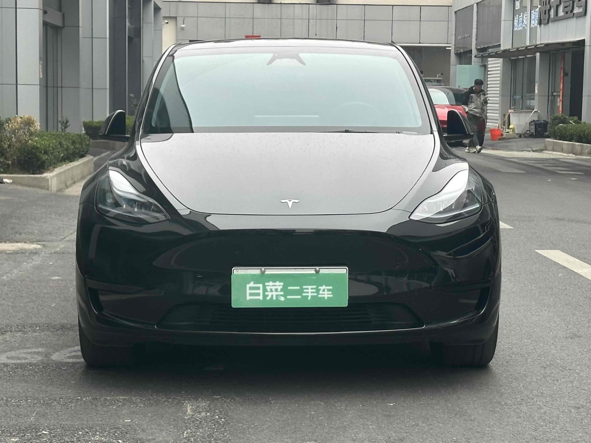 特斯拉 Model 3  2020款 改款 長續(xù)航后輪驅(qū)動版圖片