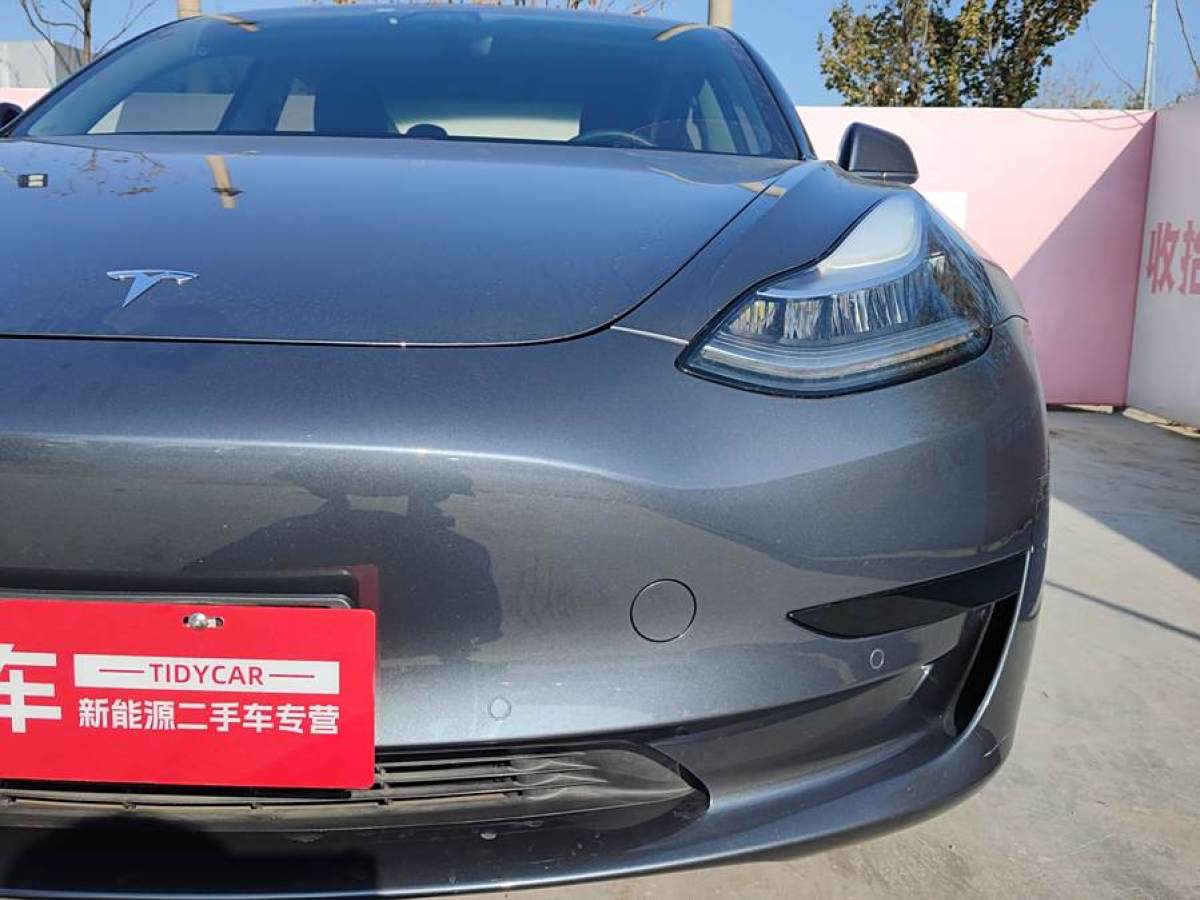 特斯拉 Model 3  2019款 標(biāo)準(zhǔn)續(xù)航后驅(qū)升級版圖片