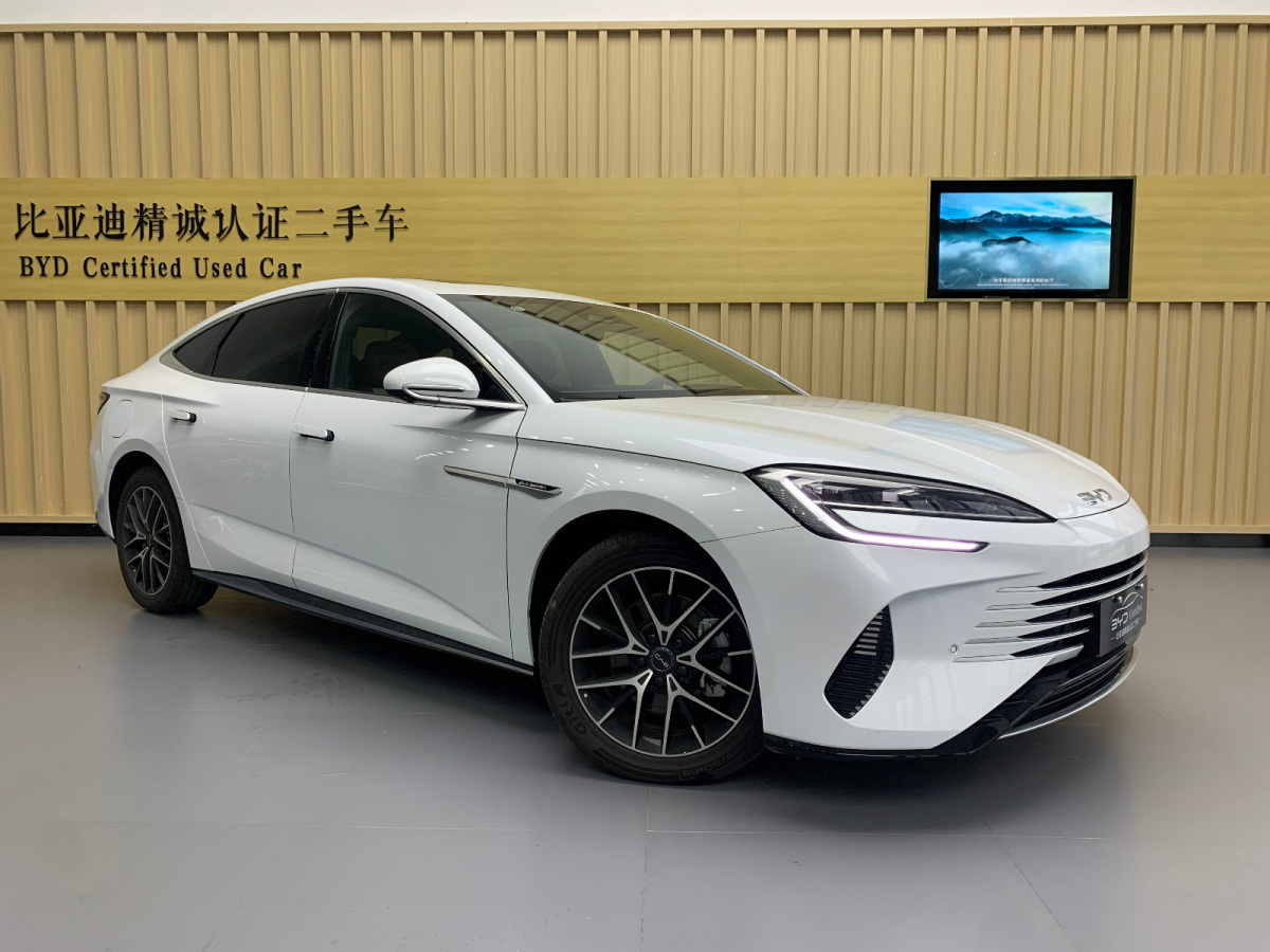 比亞迪 海豹  2023款 DM-i 1.5L 121km 尊貴型圖片