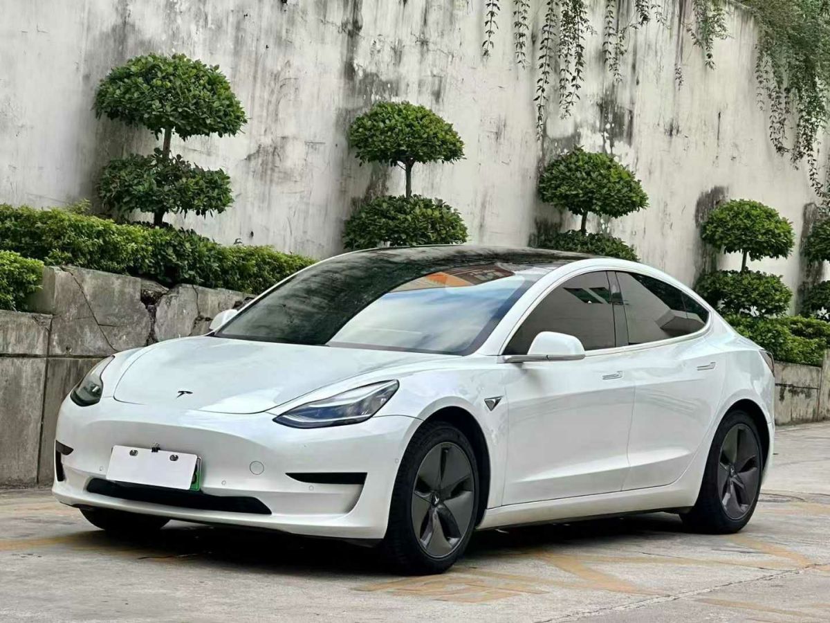 特斯拉 Model 3  2020款 標準續(xù)航后驅升級版圖片