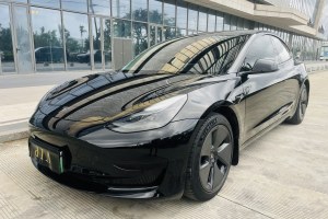 Model 3 特斯拉 標(biāo)準(zhǔn)續(xù)航后驅(qū)升級(jí)版